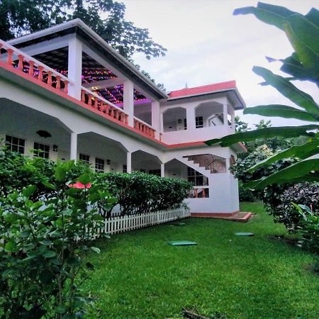 Polish Princess Guest House Port Antonio Bagian luar foto