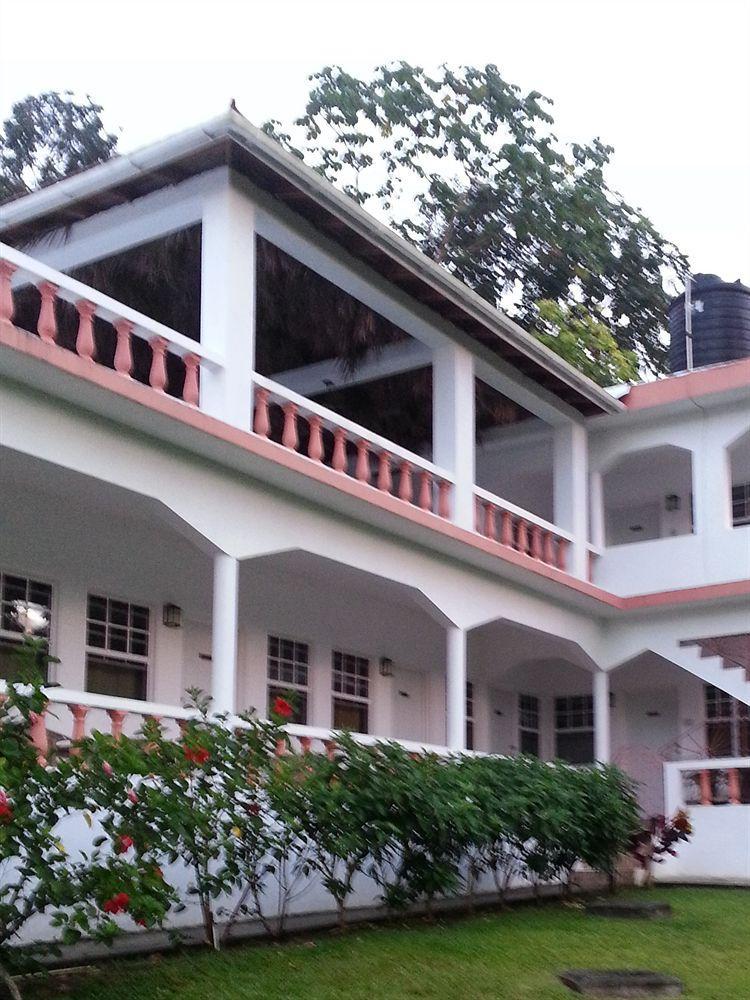 Polish Princess Guest House Port Antonio Bagian luar foto