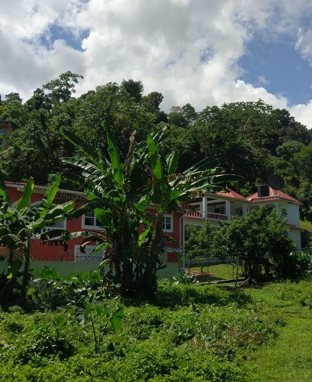 Polish Princess Guest House Port Antonio Bagian luar foto