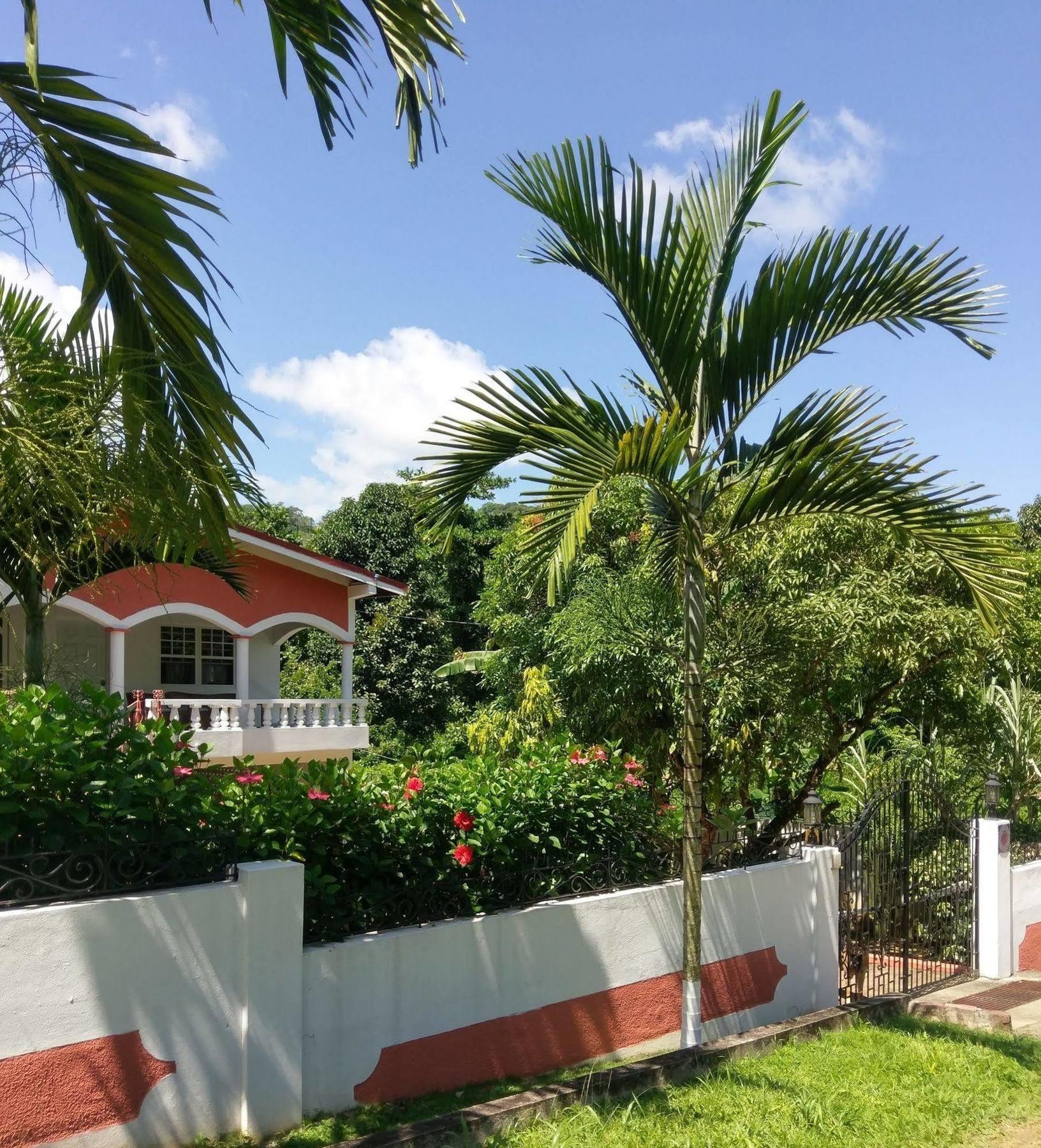 Polish Princess Guest House Port Antonio Bagian luar foto