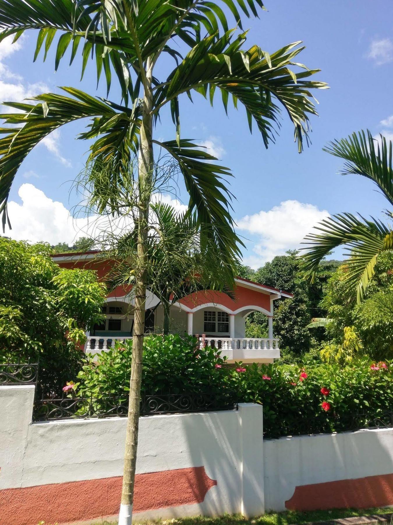 Polish Princess Guest House Port Antonio Bagian luar foto